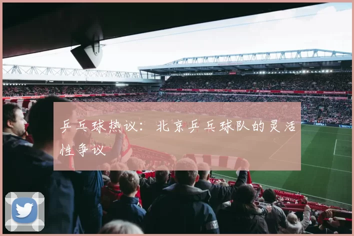 乒乓球热议：北京乒乓球队的灵活性争议