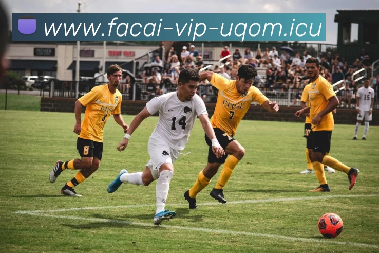 开云体育品牌故事