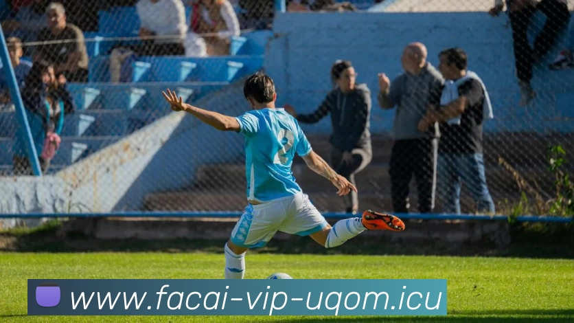 多媒体互动体验